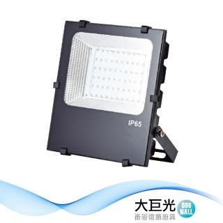 【大巨光】戶外投射燈_LED(LW-11-5594)