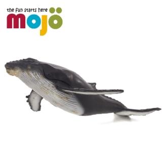 【Mojo Fun】動物模型-座頭鯨(特大)