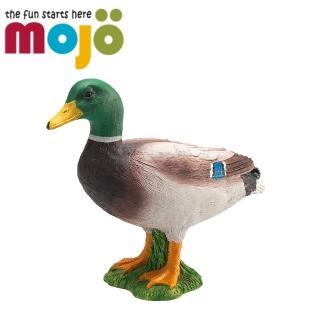 【Mojo Fun】動物模型-綠頭鴨