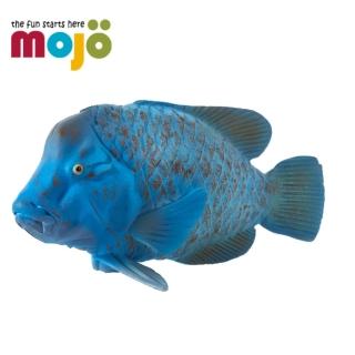 【Mojo Fun】動物模型-古氏藍唇魚