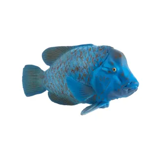 【Mojo Fun】動物模型-古氏藍唇魚(公仔/動物/模型/玩具)
