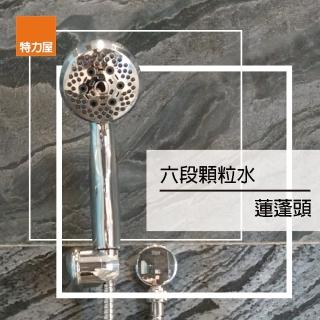 【特力屋】水美六段顆粒水蓮蓬頭2入