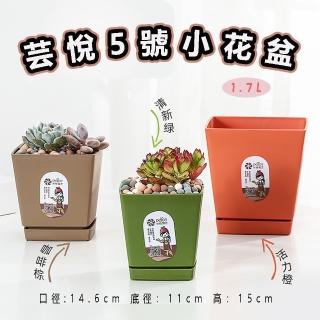 【品屋】芸悅5號小花盆(方形盆 多肉盆 小花盆 迷你花盆 含託盤花盆 塑膠花盆)