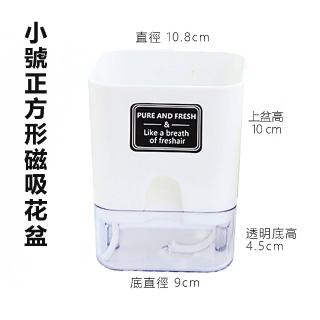 【品屋】小號正方形磁吸花盆(懶人花盆 透明花盆 磁吸款白色 盆栽容器 自吸水好養活)
