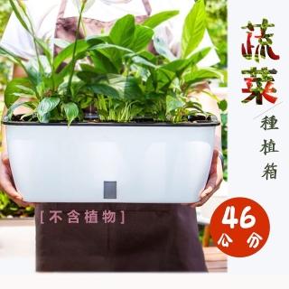 【品屋】蔬菜種植箱(長方形懶人種菜盆 長型花盆 種菜盆 花盆 自吸水花盆)