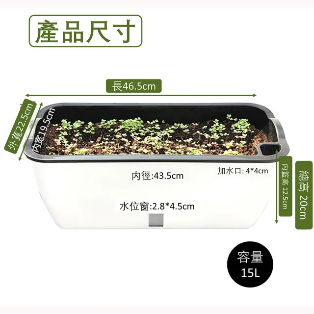 【品屋】蔬菜種植箱(長方形懶人種菜盆 長型花盆 種菜盆 花盆 自吸水花盆)