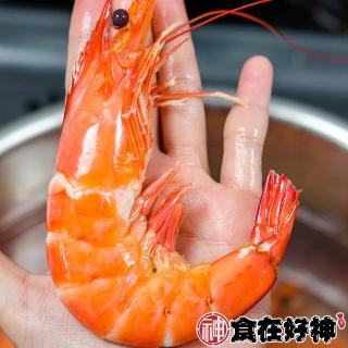 【最頂規大尺寸】無毒巨無霸白蝦皇