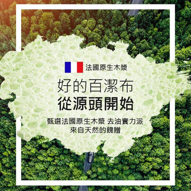 【PDD】木漿海綿塊(不沾油魔力擦 廚房百潔布 海綿擦 刷碗布 洗碗 洗鍋 雙面魔力擦 洗碗刷)