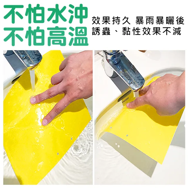 【拼創生活】雙面超黏捕蠅紙-黃色20入(捕蠅紙 黏蠅紙 誘蠅紙 黏果蠅 黏蒼蠅 捕蠅板 捕蠅器 黏蟲板)