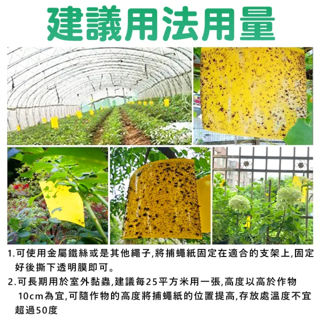 【拼創生活】雙面超黏捕蠅紙-黃色20入(捕蠅紙 黏蠅紙 誘蠅紙 黏果蠅 黏蒼蠅 捕蠅板 捕蠅器 黏蟲板)