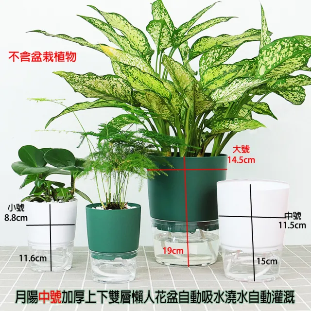 【月陽】超值2入中號加厚上下雙層懶人花盆自動吸水澆水自動灌溉器(X115TX2)