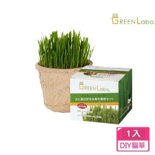 日本DIY新鮮燕麥貓草種植包