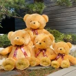 【歐比邁】大熊熊玩偶 台灣填充棉花(43吋孔雀絨熊 1043010)