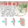 【金賺】金牌一條根加味老薑精油霜4瓶(80ml草本精油)
