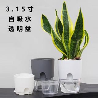 【品屋】3.15寸自吸水透明盆(懶人花盆 自吸水花盆 塑膠盆 A705)
