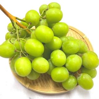 【RealShop】秋脆無籽葡萄 約900g±10%x2包 媲美日本麝香的獨特香氣(共約1.8kg 產地隨機 真食材本舖)