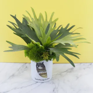 【HUGO DECO 榆果傢飾】鹿角蕨植栽英國貓頭鷹盆(進口擬真盆栽/綠化環境/佈置/聖誕節)