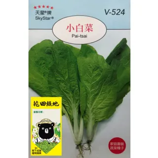 【特力屋】花田綠地種子-小 白色菜