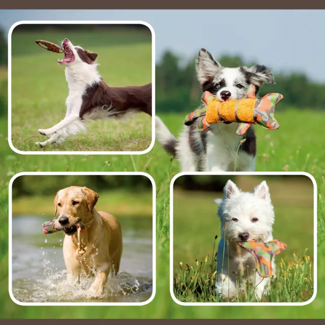 【Major Dog】迷你飛碟 狗玩具  浮水玩具 發聲玩具(抗憂鬱玩具 寵物玩具 無毒玩具 耐咬玩具 拋接玩具)