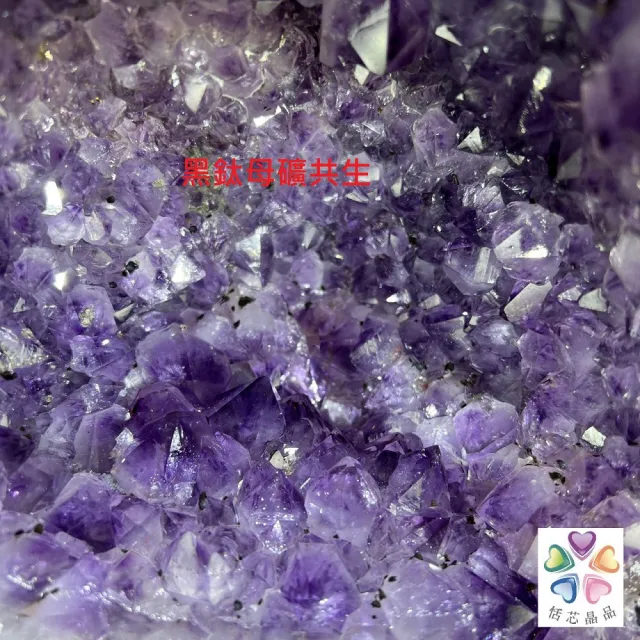 【恬芯晶品】巴西土型紫晶洞7.7KG新居財位擺設MA19(紫水晶洞開運水晶招財招貴人開業財位晶洞)