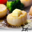 【上野物產】6包 組合大干貝 非生食(500g±10%/約12-15顆/包)