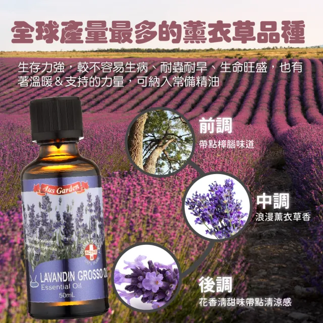 【Ausgarden 澳維花園】醒目薰衣草精油50mlX3(居家常備精油)