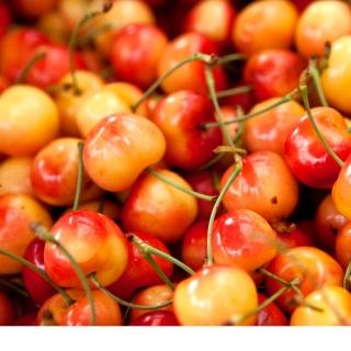 【RealShop】華國空運9.5R白櫻桃淨重600g±10%x1盒(禮盒包裝 產地直送4天內抵臺 真食材本舖)