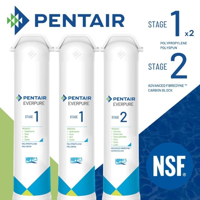 【Pentair濱特爾】Everpure櫥下智慧型飲水器F2200專用濾心組(一年份)