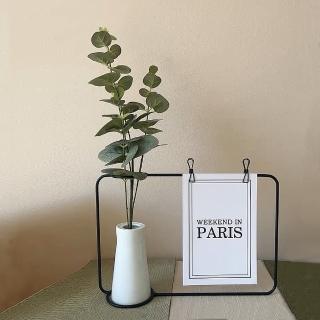 【沐森 Green Life】水培花瓶相框組+模擬尤加利(拍立得 備忘錄 情人節禮物)