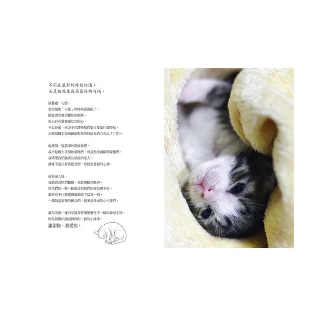 《謝謝你，我愛你》：我以為的偶然，其實都是命運的必然（贈明信片）