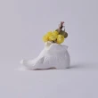【日本 BALLON】石膏裝飾花瓶擴香 - 丹尼爾+森林秘密精油 5ml
