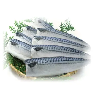 【小川漁屋】野生挪威薄鹽鯖魚15片(110g±10%/片純重無紙板)