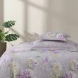 【MONTAGUT 夢特嬌】40支精梳棉薄被套床包組-紫苑花香(雙人)