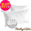【安迪寢具】MIT獨立筒透氣枕2入(獨立筒 彈簧枕 水洗枕 台灣製 強力支撐)