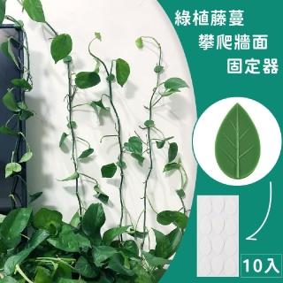 【固定萬用夾】綠植藤蔓固定器10入(蘭花 植物 整理夾子 固定支架 花架 延長線 電線 理線器 隱形夾)