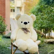 【歐比邁】大熊熊玩偶 160CM 台灣填充棉花(60吋孔雀絨熊 0100013)