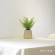 【森多】窗孔龜背芋－方盆系列｜水耕盆栽 無土栽培 室內植物