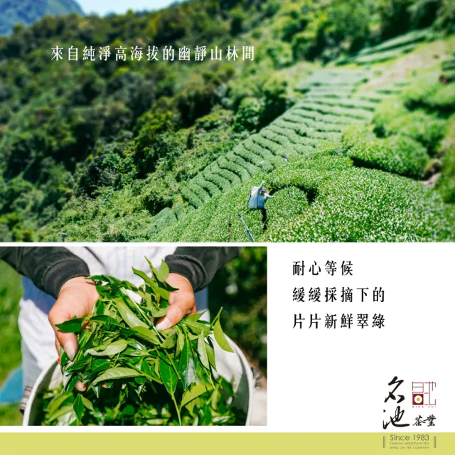 【名池茶業】蜜朵紅玉錫蘭冷泡茶包3gx30入