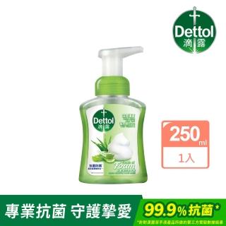 【Dettol 滴露】滋潤蘆薈泡沫潔手液洗手乳1入(250ml)