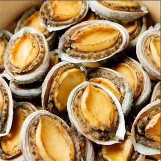 【悅生活】鮮市集 鮮甜活凍帶殼厚肉鮑魚10入裝 1000g±5/盒 3盒組(上船急凍 包冰率低)