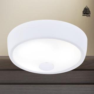【必登堡】靜穆吸頂燈 26cm B573135(玄關燈/樓梯燈/走廊燈/邊幾燈/LED/現代/簡約/寂靜風)