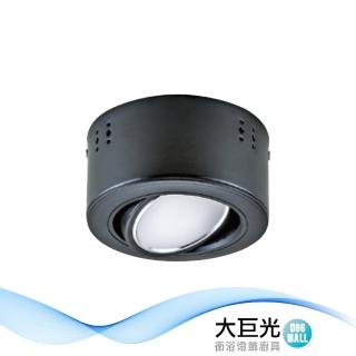 【大巨光】LED 15W 吸頂筒燈(LW-11-5177)