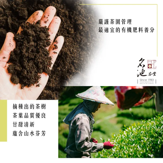 【名池茶業】蒔花烏龍茶葉冷泡茶包3gx60入