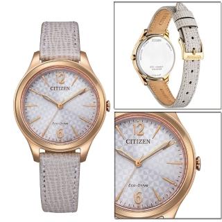 【CITIZEN 星辰】LADYS Eco-Drive 典雅大方時尚腕錶 手錶 禮物 推薦(EM0509-10A)