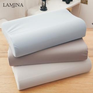 【LAMINA】高科技膜防蹣防水記憶枕-1入