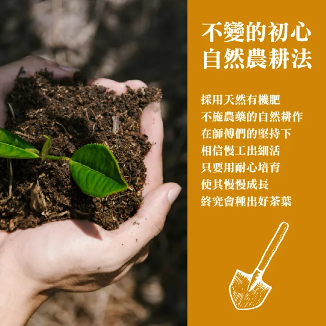 【名池茶業】大禹嶺品級高山茶手採茶葉禮盒150gx2罐(共0.5斤;茶美學款)