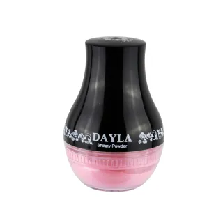 【DAYLA】絕配無瑕定粧亮粉5g(1入)