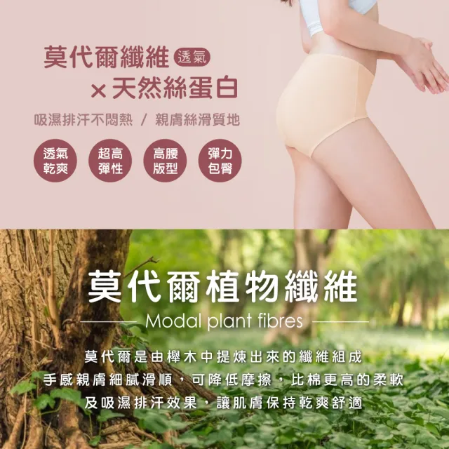 【Clany 可蘭霓】4件組  健康親膚絲蛋白高腰女內褲L-2XL 加大尺碼(台灣製.顏色隨機出貨)