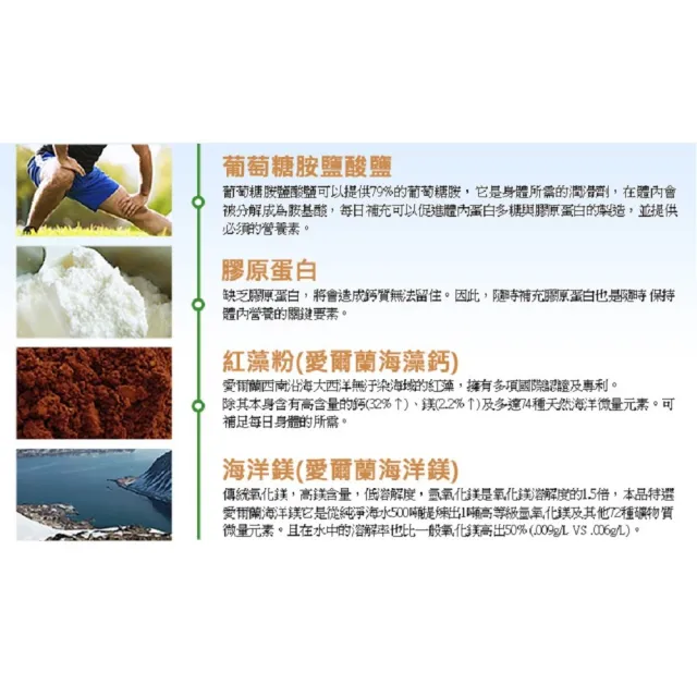 【草本之家】鈣補力1入組100粒/入(葡萄糖胺.紐西蘭綠貽貝.海藻鈣.MSM.鎂)
