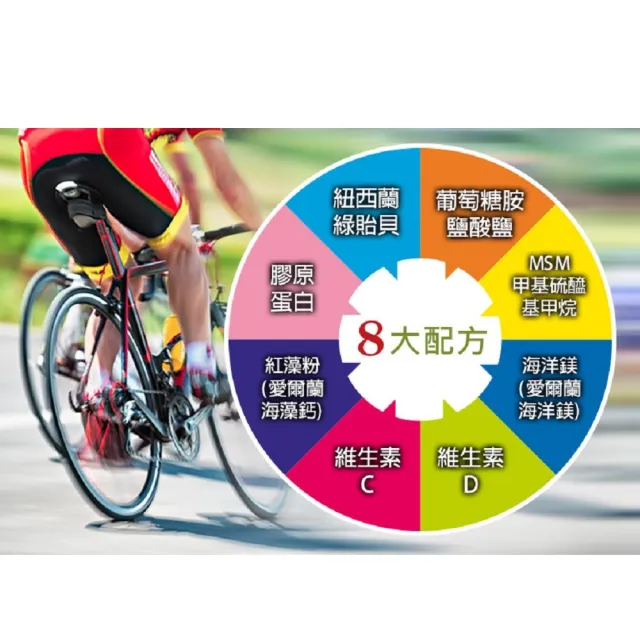 【草本之家】鈣補力1入組100粒/入(葡萄糖胺.紐西蘭綠貽貝.海藻鈣.MSM.鎂)